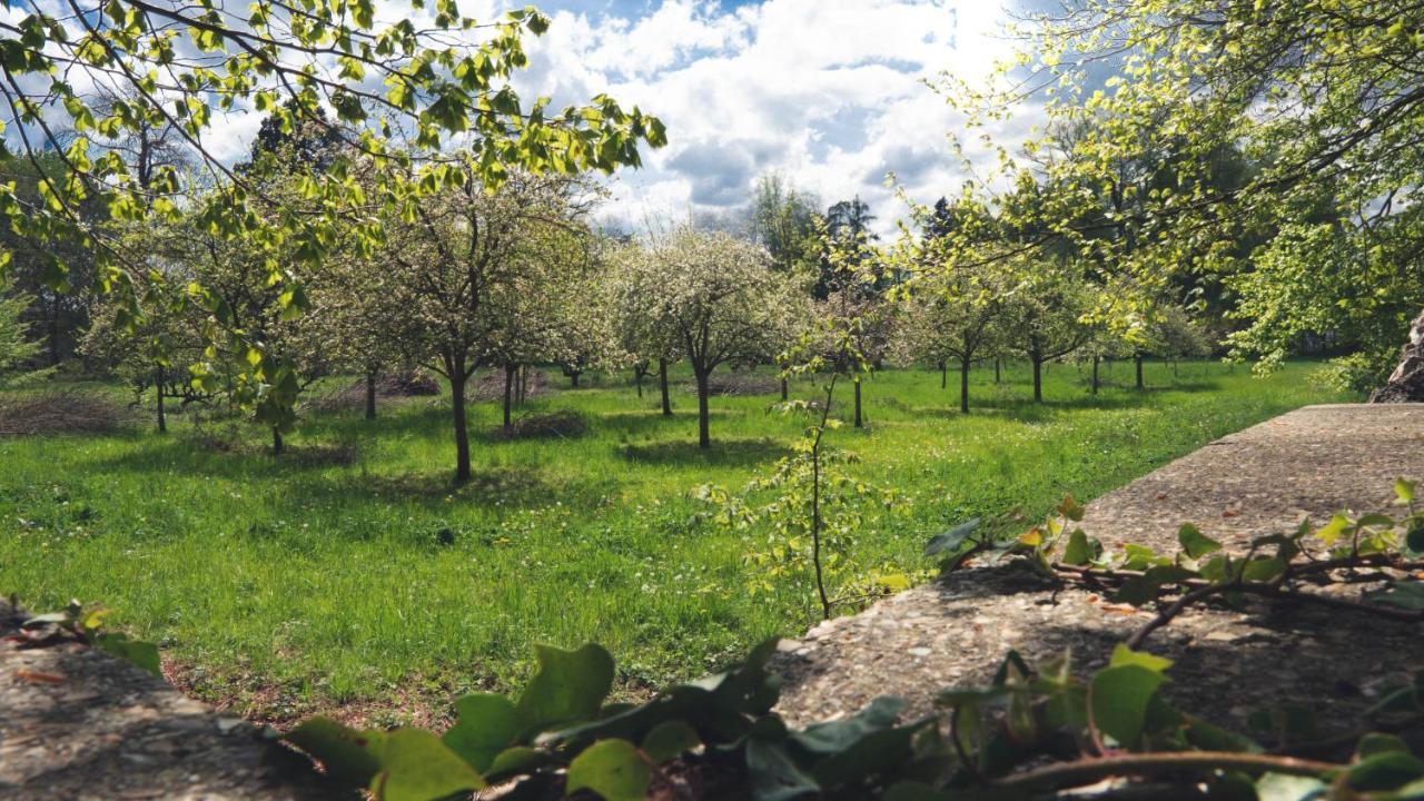 Les Ecuries Du Chateau De Brumare Bed & Breakfast Brestot Dış mekan fotoğraf